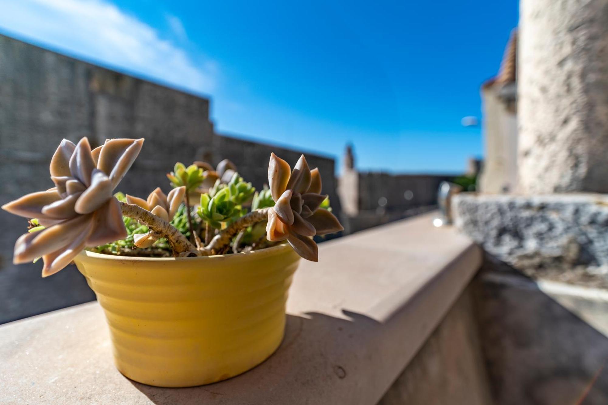 Villa Ragusa Vecchia Luaran gambar